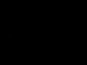 Negro NE30601