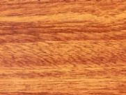 Sapeli SP40605