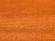 Sapeli SP40603