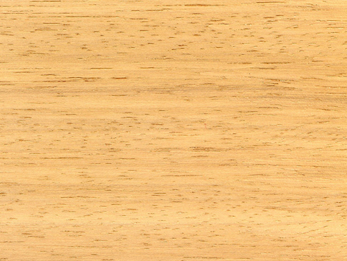 Foto del Producto