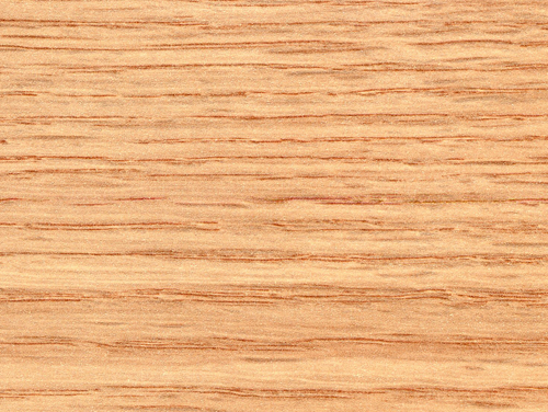 Foto del Producto