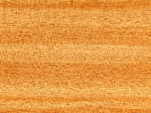 Foto del Producto